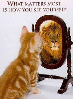how do you see yourself?